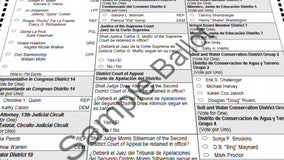 Florida constitutional amendments: What do they mean?