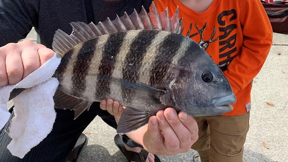 Fishing Report: Oct. 9, 2020