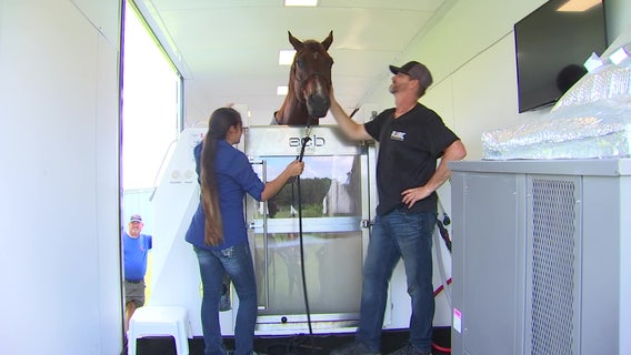 Mobile rehabilitation technology helps horses regain quality of life