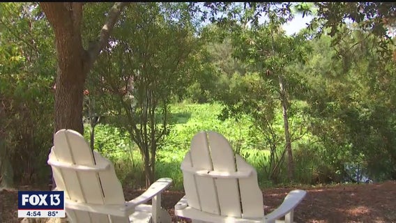 This peaceful escape is hidden in the middle of Pinellas County