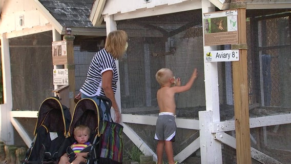 Despite pandemic, Seaside Seabird Sanctuary gets back to feathery philanthropy