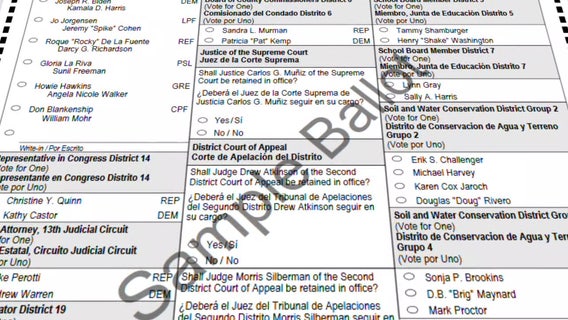 Florida constitutional amendments: What do they mean?