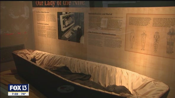 St. Petersburg 'Creepatorium'