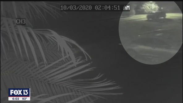 Surveillance footage may show vandal