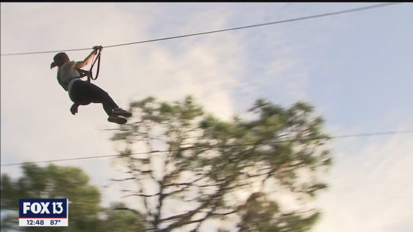 An adventure in the trees