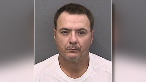 Ruskin man charged with 100 counts of possession of child pornography