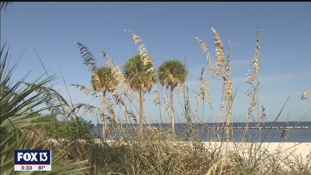 Florida now meets all EPA air quality standards; largest state to hit benchmark