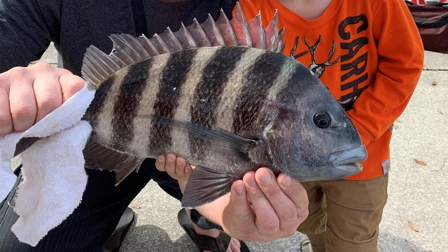 Fishing Report: Oct. 9, 2020