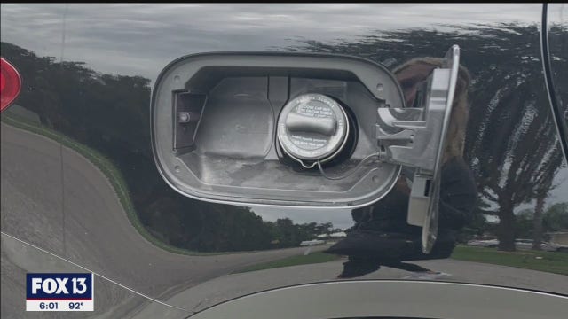 Manatee deputies investigating vandalism to candidate's car