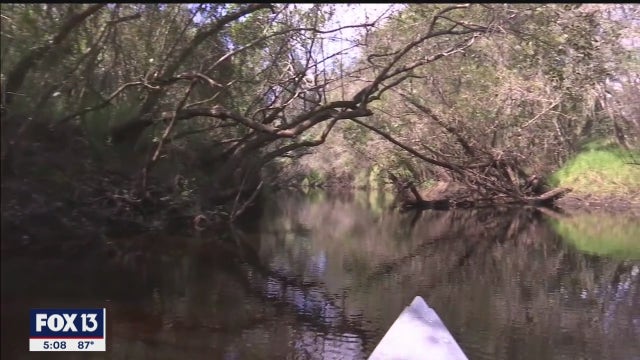Little Manatee River could become third in Florida to be federally protected