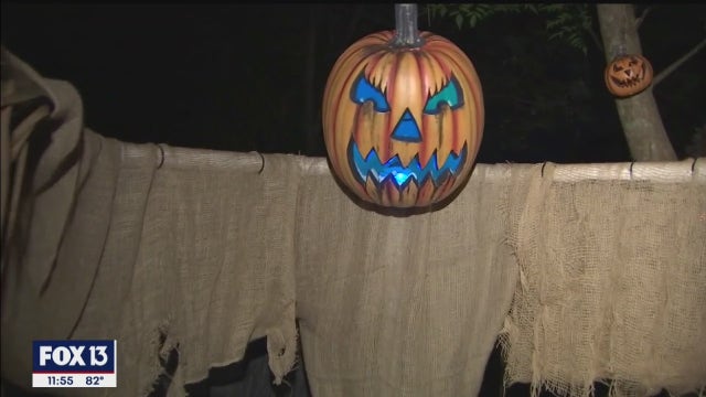 Artists' horrifying handiwork turns Safety Harbor backyard into eerie encounter
