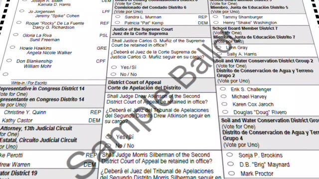 Florida constitutional amendments: What do they mean?