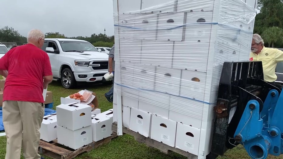 Boxes of food lined up.