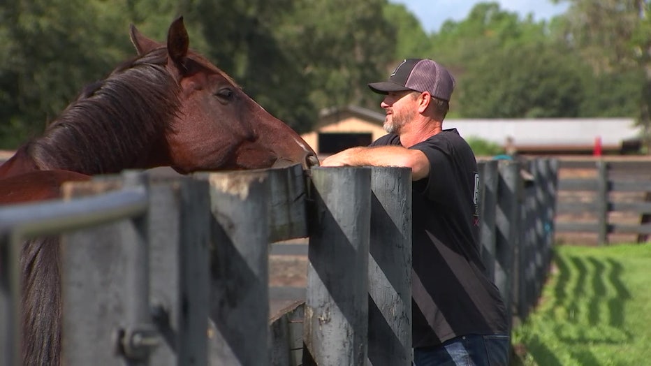 Man and a horse