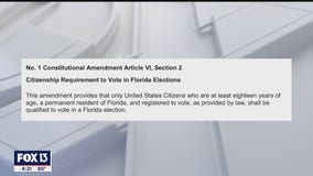 Amendment 1 approved by 80% of Florida voters