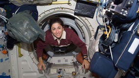 Astronaut from Tampa Bay recalls the highs and lows of her path to space