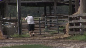 Neighbors concerned about plan to sell Polk's last dairy farm to developers