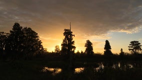 Circle B offers quiet spot to catch the sunrise -- if you don't mind the gators