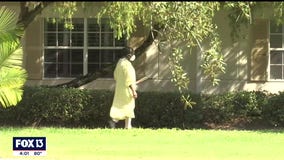 Dozens test positive for COVID-19 at Venice long-term care facility