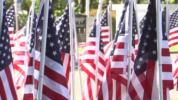 Unexpected vetoes disappoint supporters of civics education, juvenile records bills