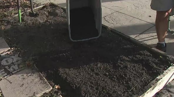 How to prep for your winter garden