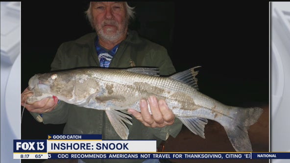 Redfish action strong throughout Tampa Bay area