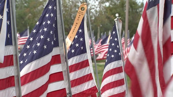 More than 400 American flags honor veterans in Seminole