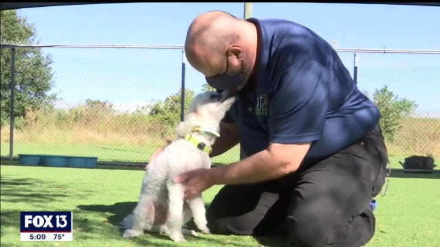 One year later, dogs rescued from Tampa breeder reunited
