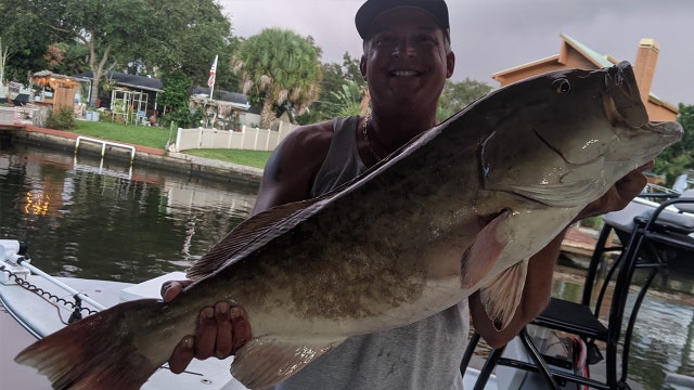 Fishing Report: Nov. 6, 2020