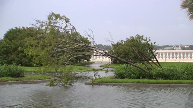 Extensive flooding from Tropical Storm Eta reveals Tampa Bay's vulnerability to larger storms