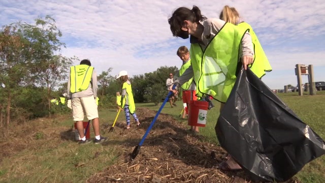 Youth sailing group cleans up mess Tropical Storm Eta left behind on Davis Islands