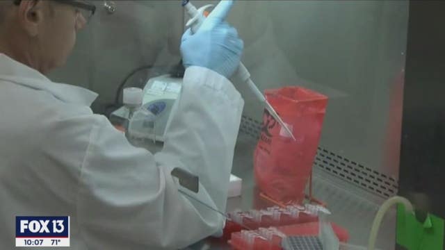 New COVID-19 therapy authorized by the FDA