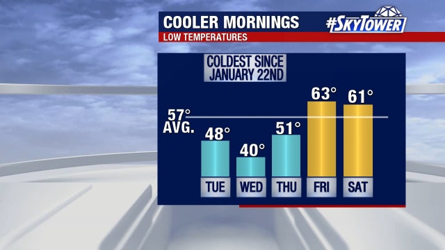 Freeze watch: Coldest morning temperatures since January will arrive in Tampa Bay this week