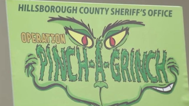 Hillsborough sheriff launches Operation Pinch-A-Grinch to protect residents' delivered packages