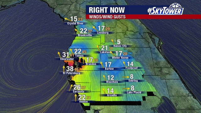 Tropical Storm Eta brings windy, wet night to Tampa Bay area