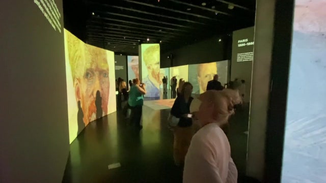Immersive 'Van Gogh Alive' exhibit opens at Salvador Dalí Museum