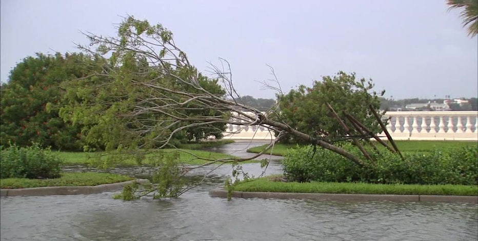 In Eta’s wake, some South Tampa streets remain flooded