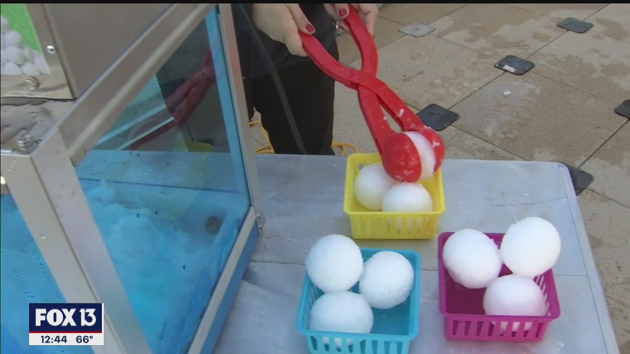 Snow is in the forecast at The Florida Aquarium