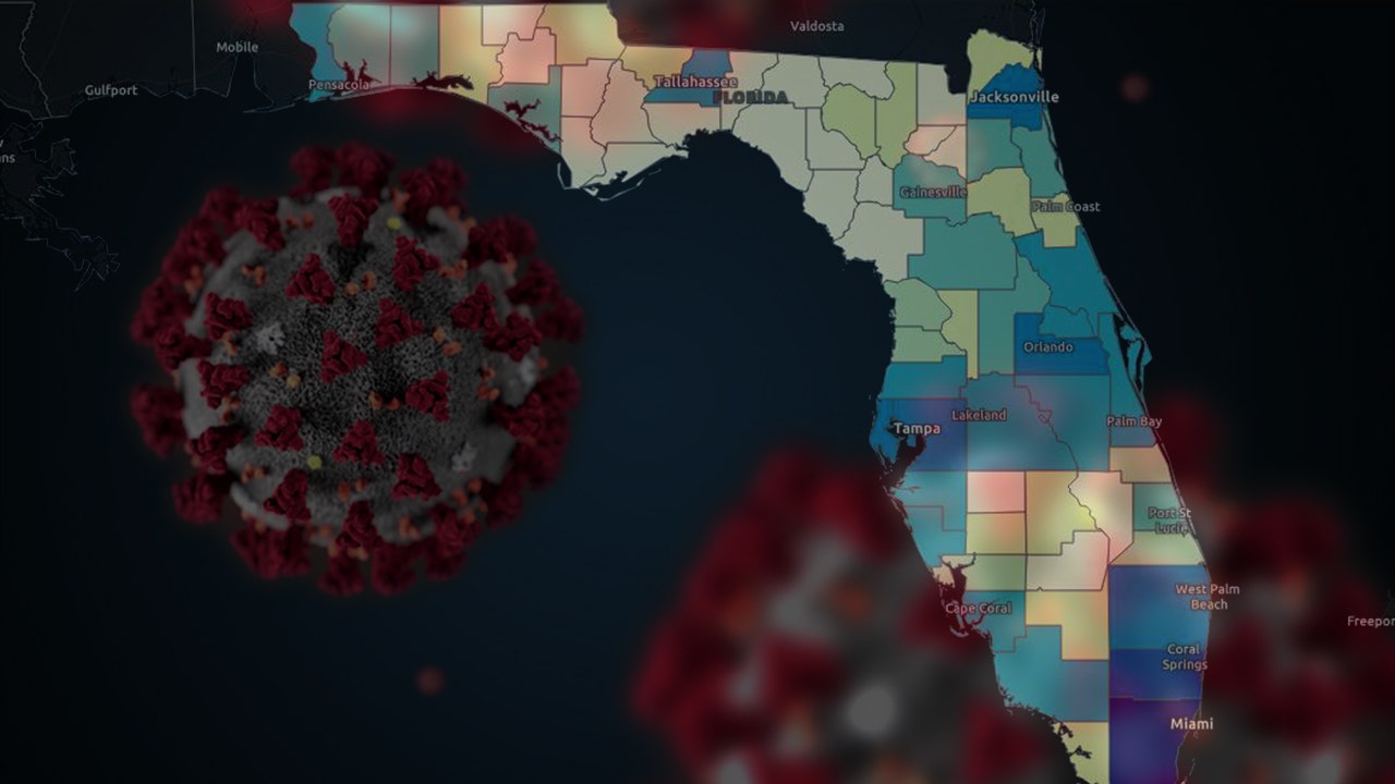 New Virus Strain Emerges In Florida FOX 13 Tampa Bay   Covid Fl 