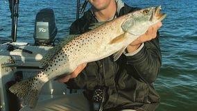 Fishing Report: Dec. 4, 2020
