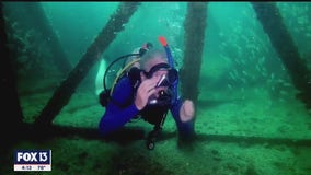 Explore uncharted waters with certified scuba divers