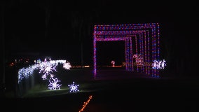 Nearly a million lights dazzle together to form this Dover holiday display