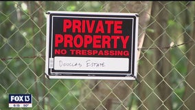 Rare undeveloped piece of Pinellas County could become nature preserve