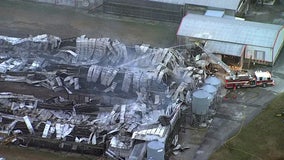 Dade City poultry farm fire likely killed 250,000 chickens, officials say