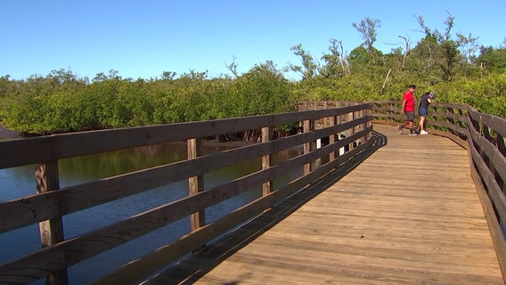 Take in the old Florida ecosystem of Emerson Point Preserve