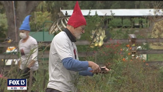Safety Harbor Garden Club planting seeds for Florida's gardening future