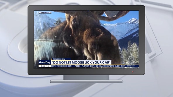 Good Day Goodies: Dec. 4, 2020