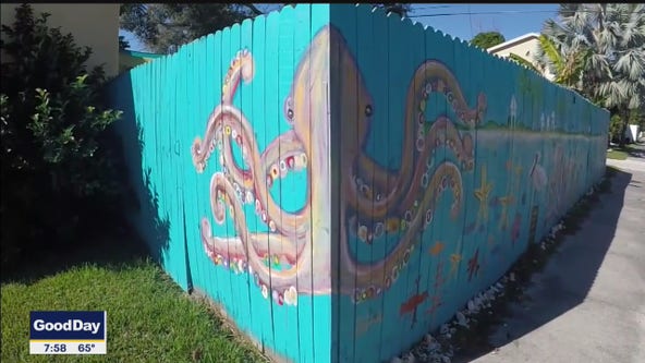 Woman turns fence into art