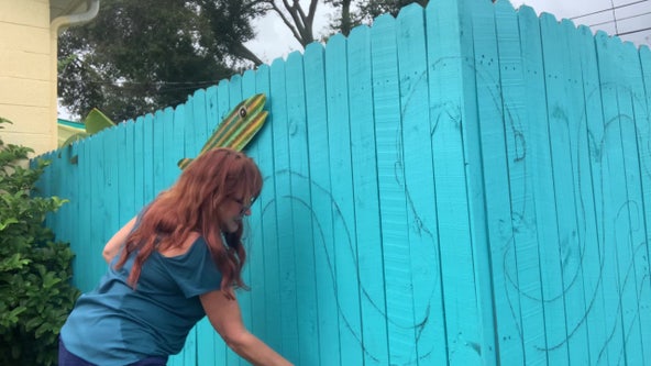Artist uses privacy fence to showcase talent after COVID-19 canceled art shows