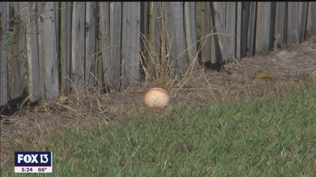 Baseballs from nearby high school flying into Riverview daycare play area